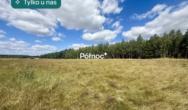 Działka budowlana Trzęsów