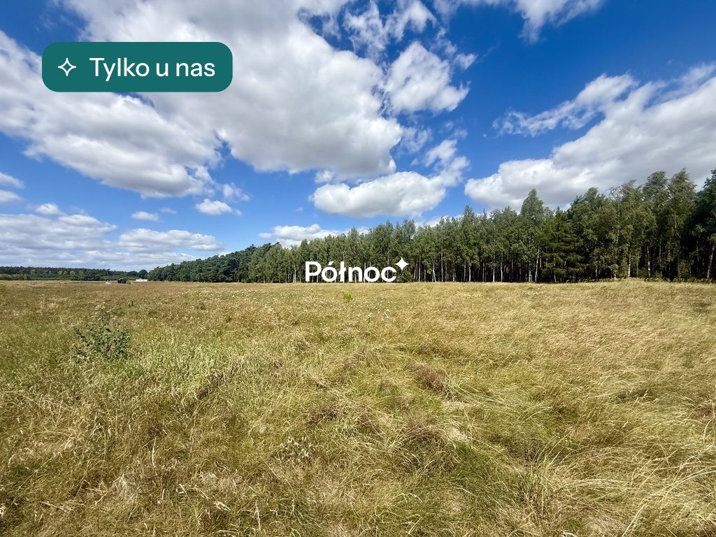 Działka budowlana Trzęsów. Zdjęcie 1