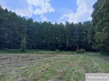 Działka rolna Budno. Zdjęcie 3