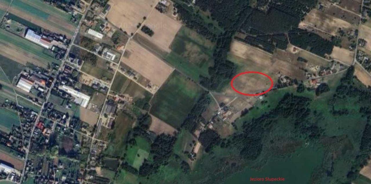 Działka budowlana Korwin. Zdjęcie 4