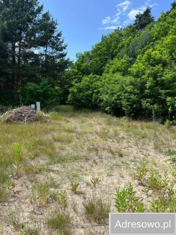 Działka budowlana Jelna. Zdjęcie 1