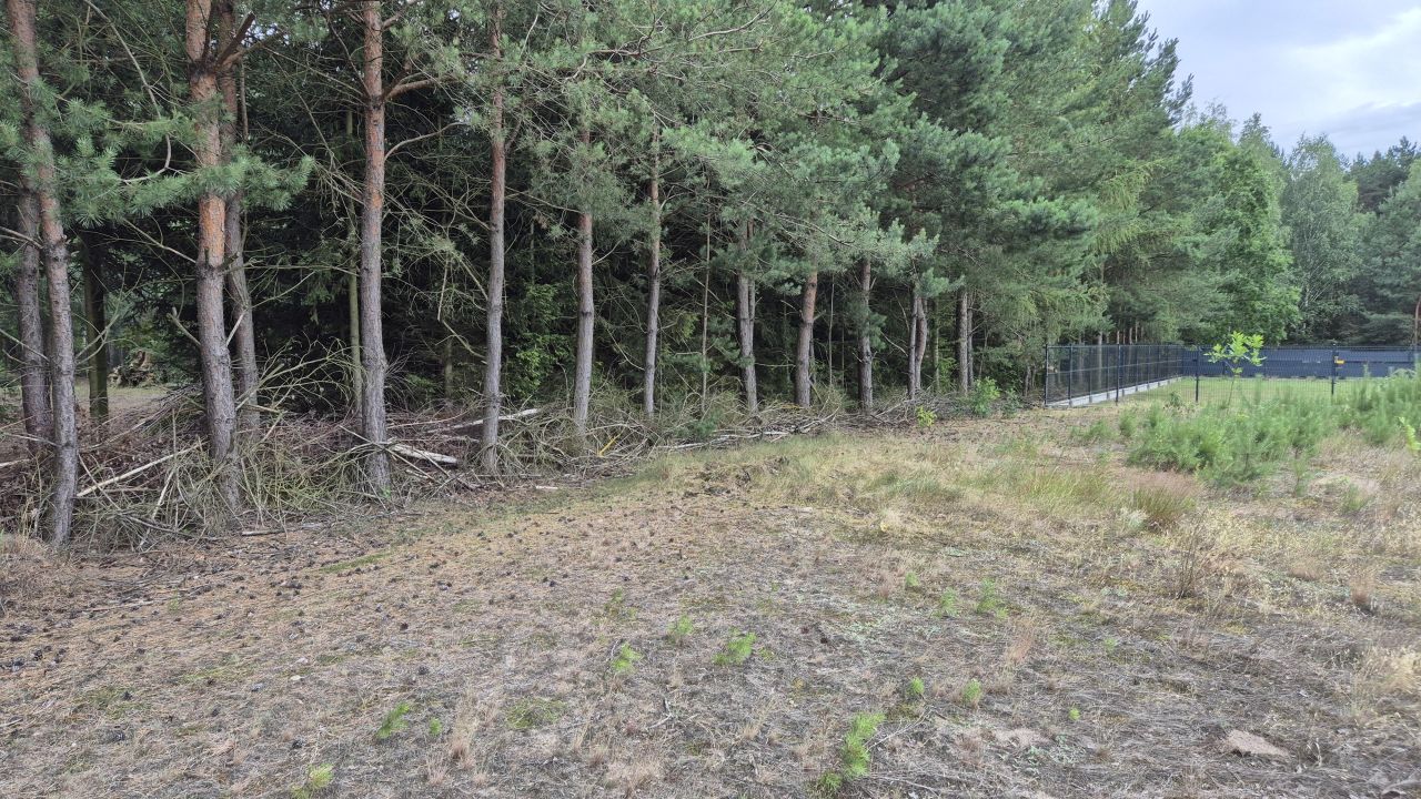 Działka rolno-budowlana Zabłocie. Zdjęcie 4