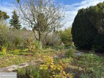 Działka rod Włocławek Lisek. Zdjęcie 3