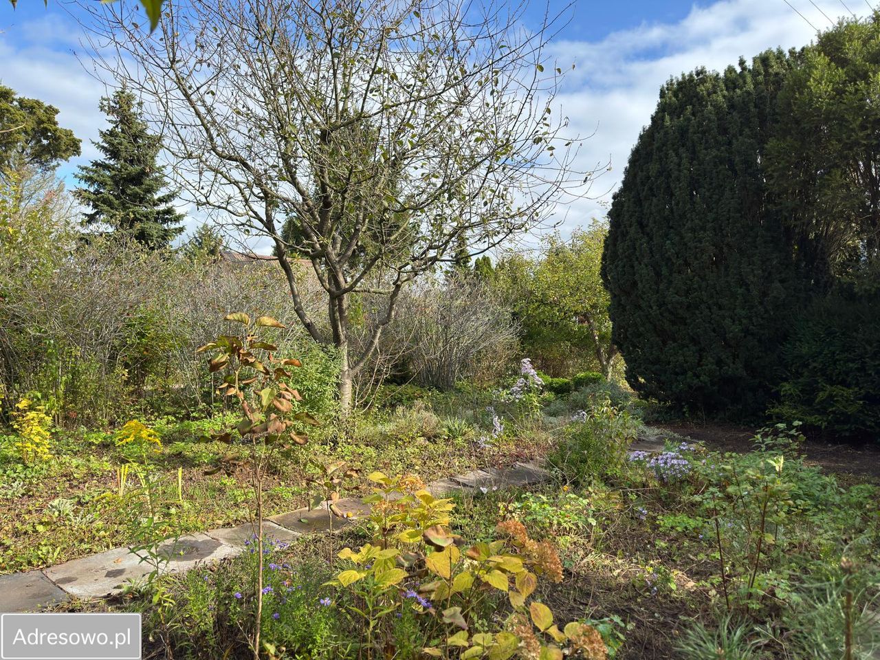 Działka rod Włocławek Lisek. Zdjęcie 4