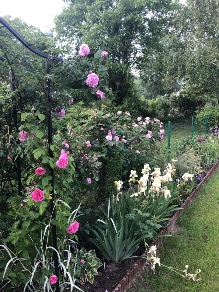 Działka rod Warszawa Mokotów, ul. Łucznicza. Zdjęcie 3