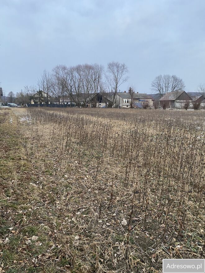 Działka rolno-budowlana Ryczów Chałupki, ul. Nadwiślańska. Zdjęcie 2