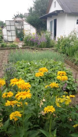 Działka rod Wałbrzych Podzamcze. Zdjęcie 1