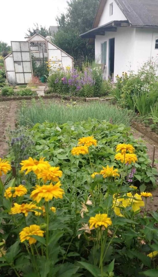 Działka rod Wałbrzych Podzamcze. Zdjęcie 1