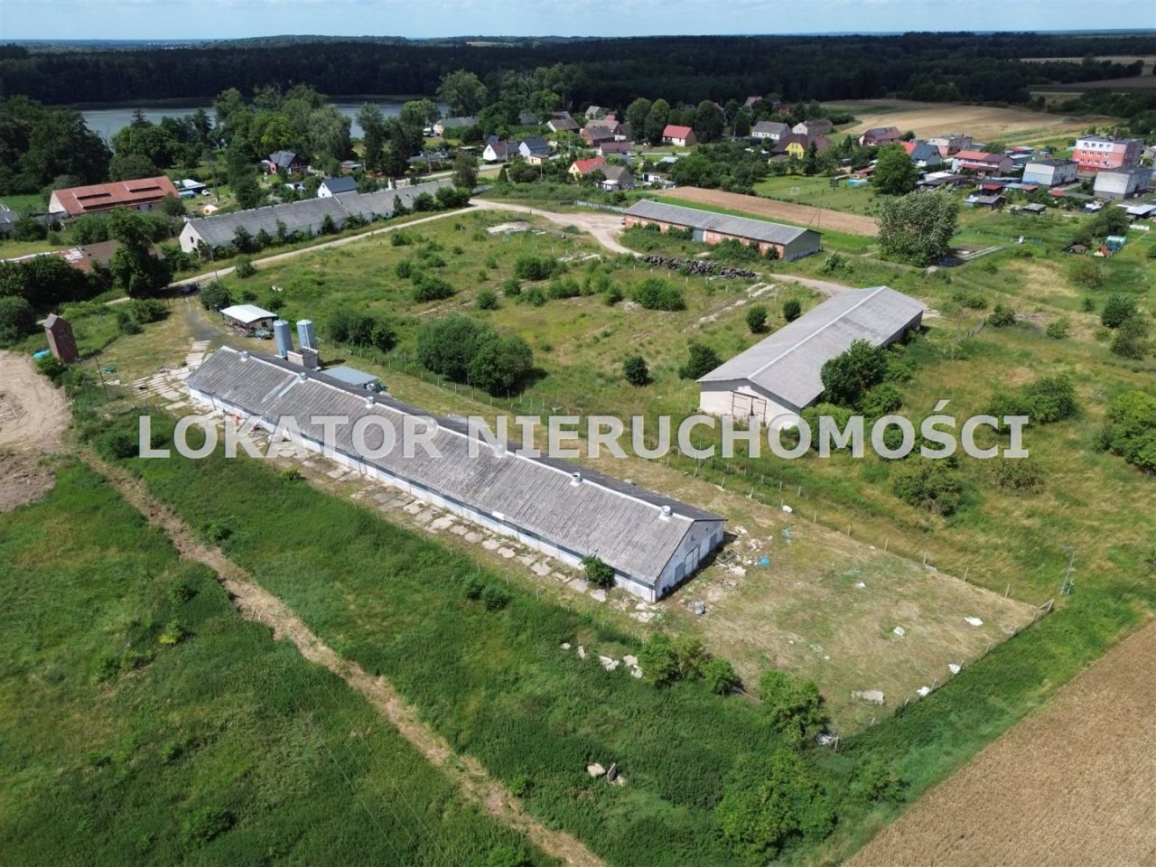 Hala/magazyn Rutwica. Zdjęcie 10