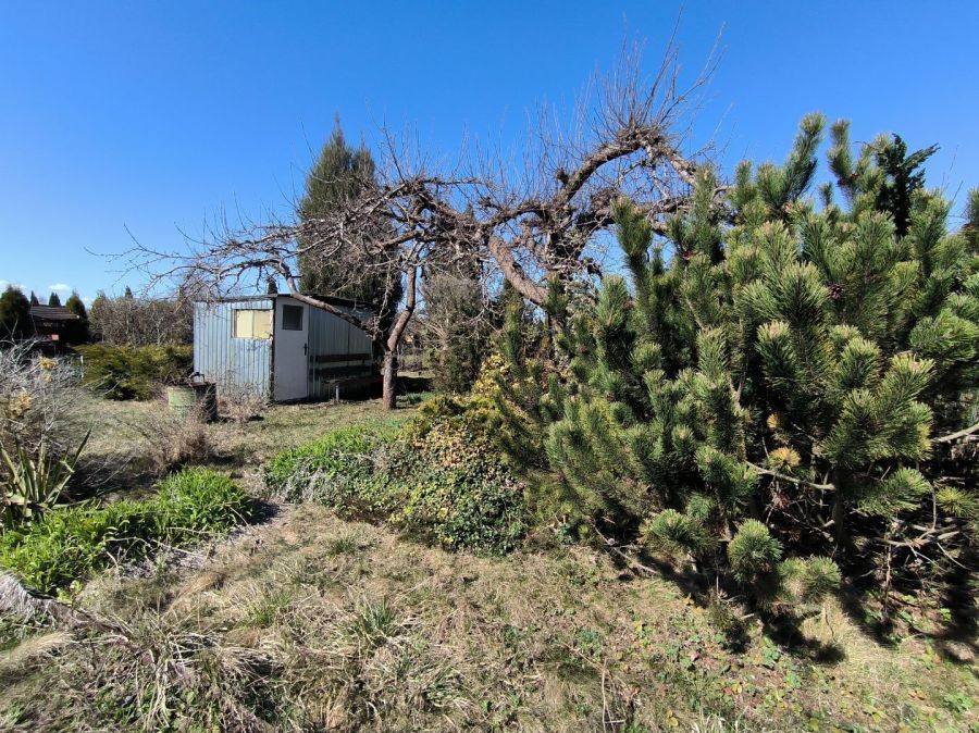 Działka rod Pruszcz Gdański. Zdjęcie 6