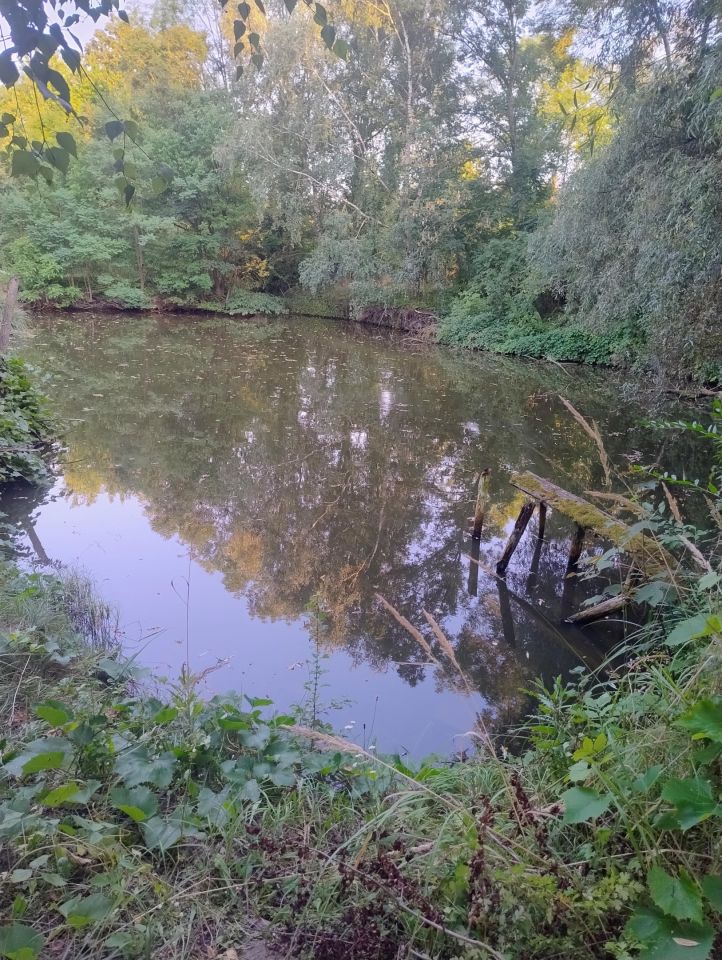 Działka budowlana Stopnica, ul. Polna. Zdjęcie 8
