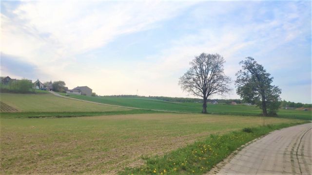 Działka budowlana Cieszenie, ul. Bukowa. Zdjęcie 1