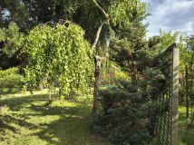 Działka rod Łódź Łagiewniki, ul. o. Leona Godlewskiego. Zdjęcie 3