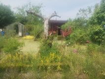 Działka rod Niekłonice. Zdjęcie 2