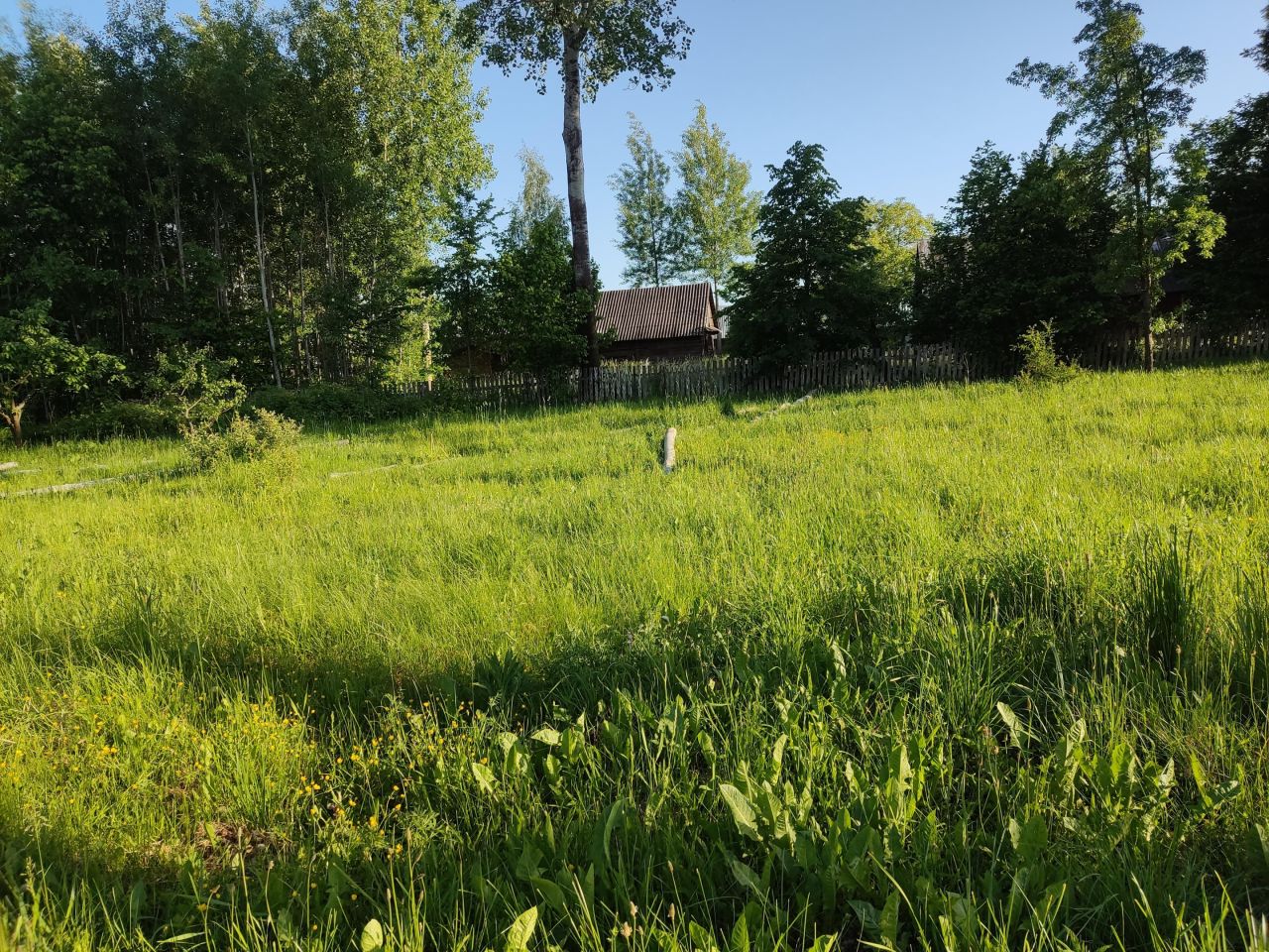 Działka rolno-budowlana Wygoda. Zdjęcie 5