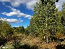 Działka budowlana Zboiska, ul. Lawendowa. Zdjęcie 4