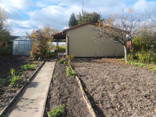 Działka rod Wągrowiec. Zdjęcie 1