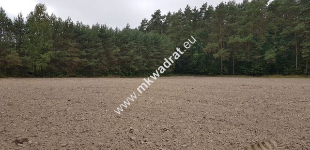 Działka Budy Wolskie. Zdjęcie 8