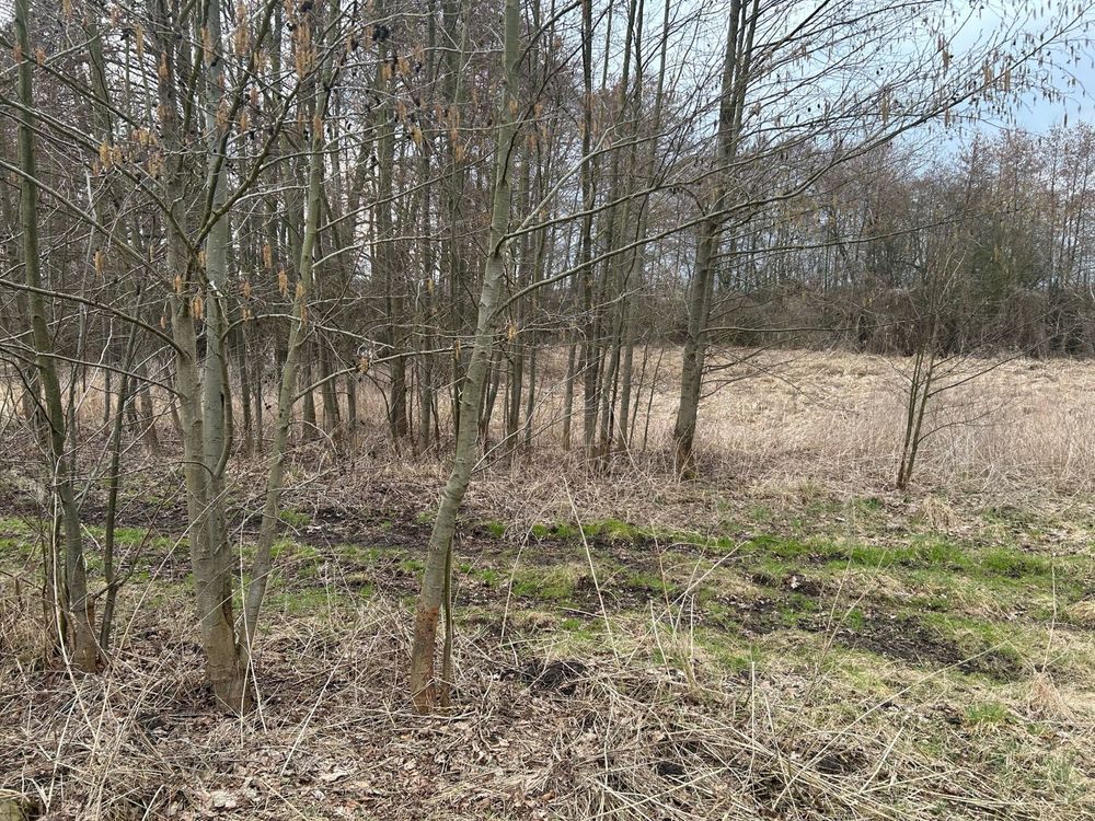 Działka budowlana Pyrzyce, ul. Adama Mickiewicza. Zdjęcie 7