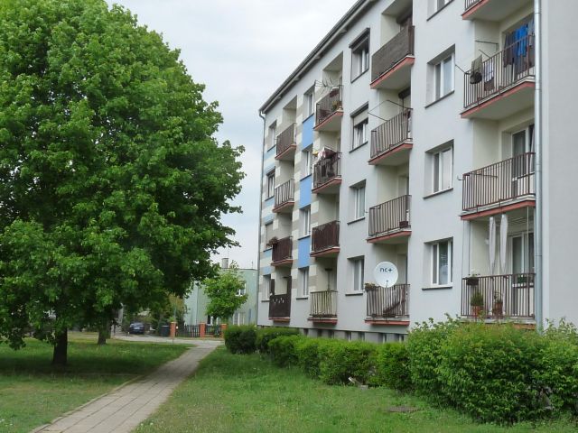 Mieszkanie 3-pokojowe Września, ul. Fromborska. Zdjęcie 1