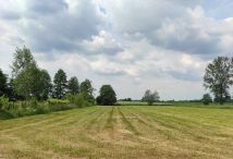 Działka rolno-budowlana Besiekierz Nawojowy. Zdjęcie 2