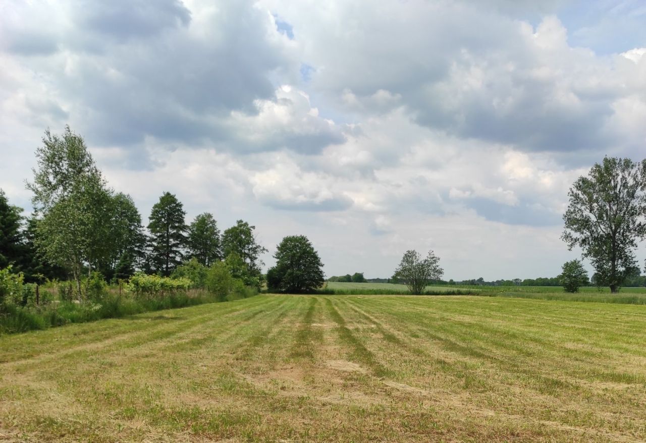 Działka rolno-budowlana Besiekierz Nawojowy. Zdjęcie 3