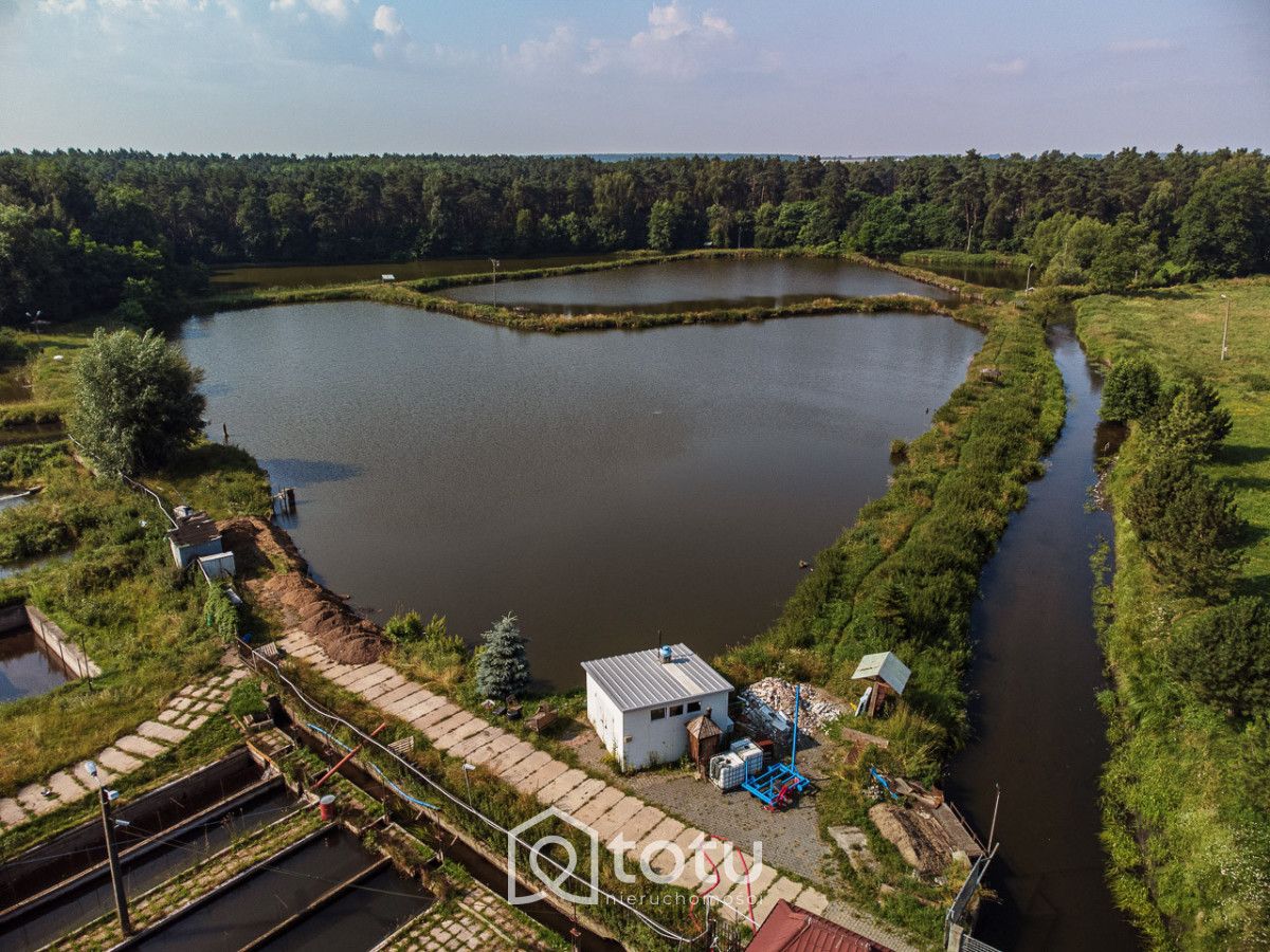 Działka inwestycyjna Krężnica Jara. Zdjęcie 10