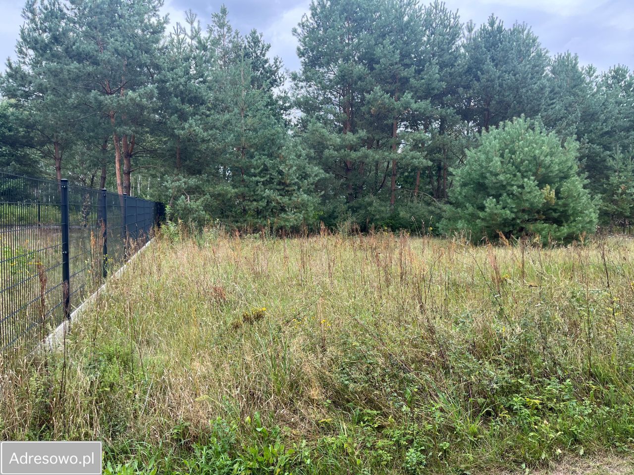 Działka rolna Nowe Miasto-Folwark. Zdjęcie 2