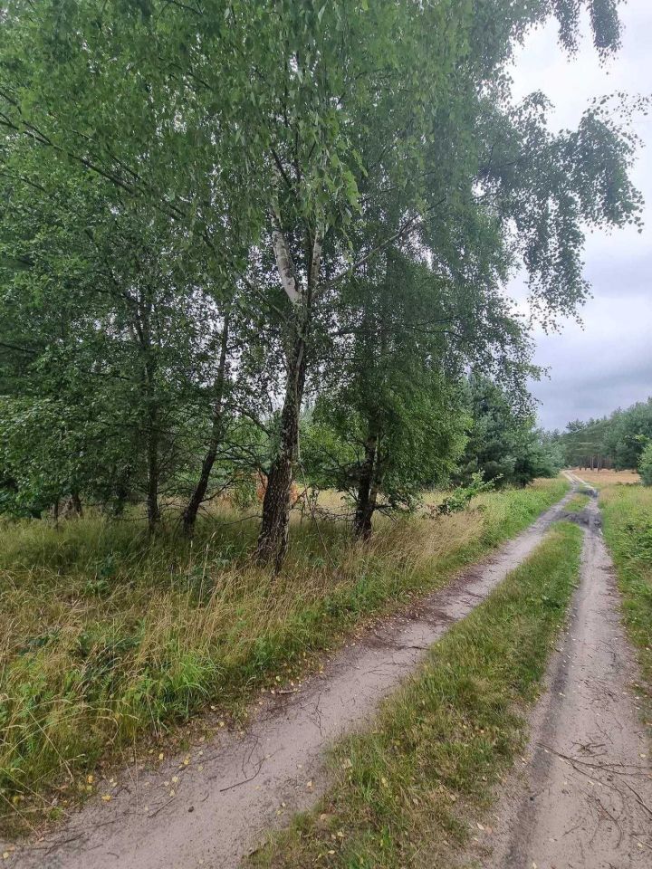 Działka budowlana Izbica. Zdjęcie 2