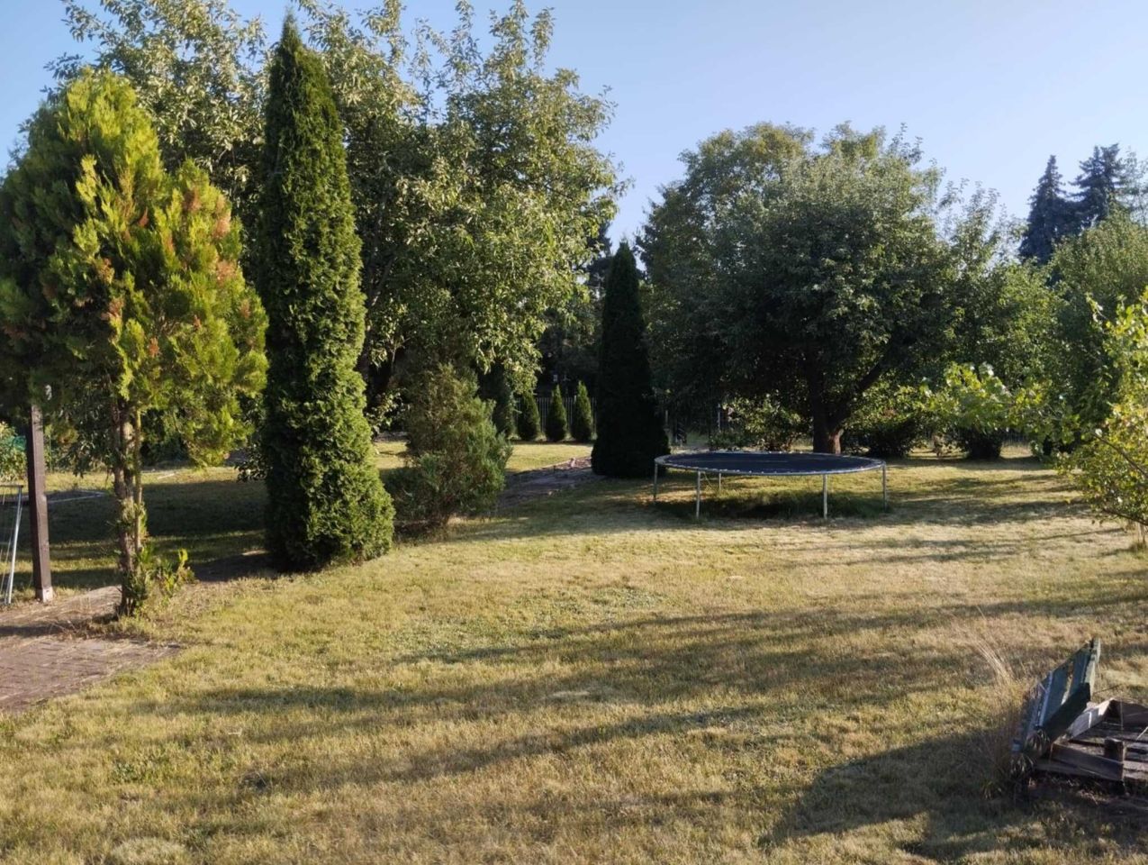 Działka rod Śrem. Zdjęcie 5