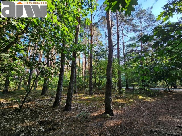 Działka budowlana Izabelin C. Zdjęcie 2