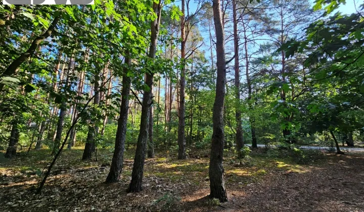 Działka budowlana Izabelin C