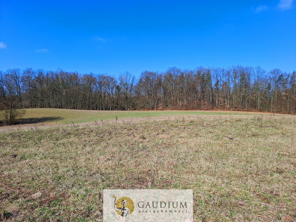 Działka budowlana Kobysewo. Zdjęcie 4