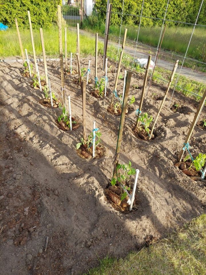 Działka rod Szczecin Pogodno. Zdjęcie 8