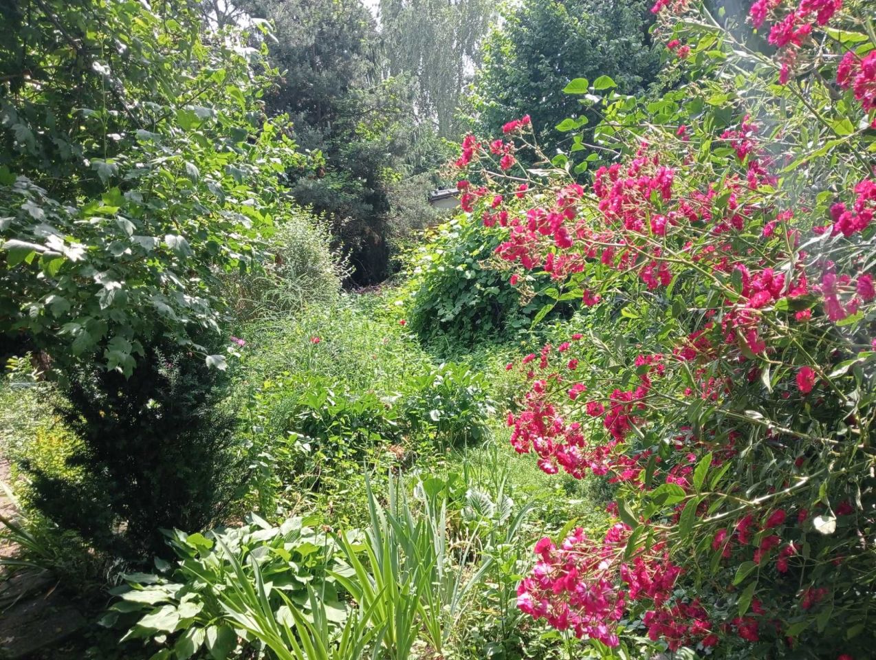 Działka rod Warszawa Praga-Południe, ul. Kinowa. Zdjęcie 7