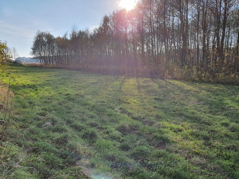 Działka Hartowiec. Zdjęcie 3