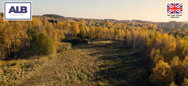 Działka inwestycyjna Przyjaźń, ul. Świerkowa. Zdjęcie 4