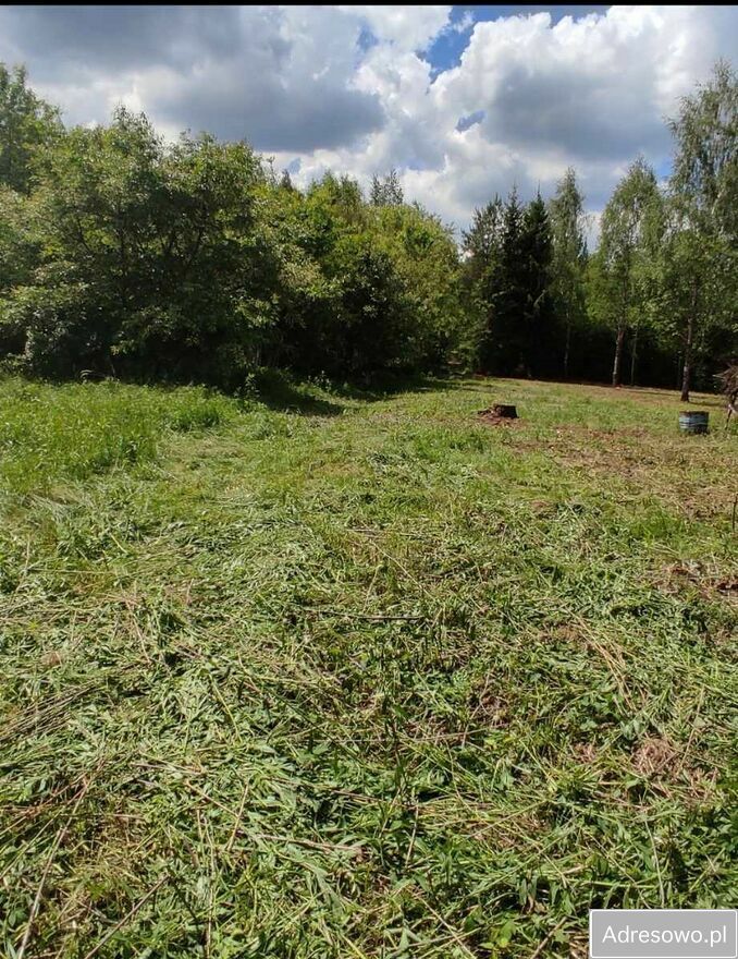 Działka rolna Toporów. Zdjęcie 2