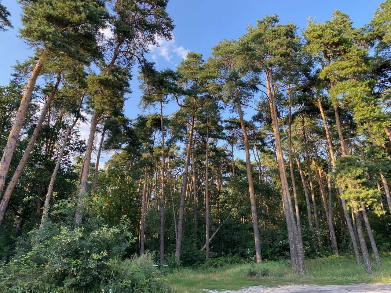 Działka budowlana Janków Przygodzki, ul. Polna