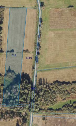 Działka rolna Nowe Dąbie. Zdjęcie 1