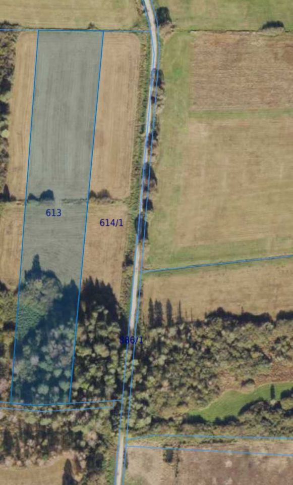 Działka rolna Nowe Dąbie