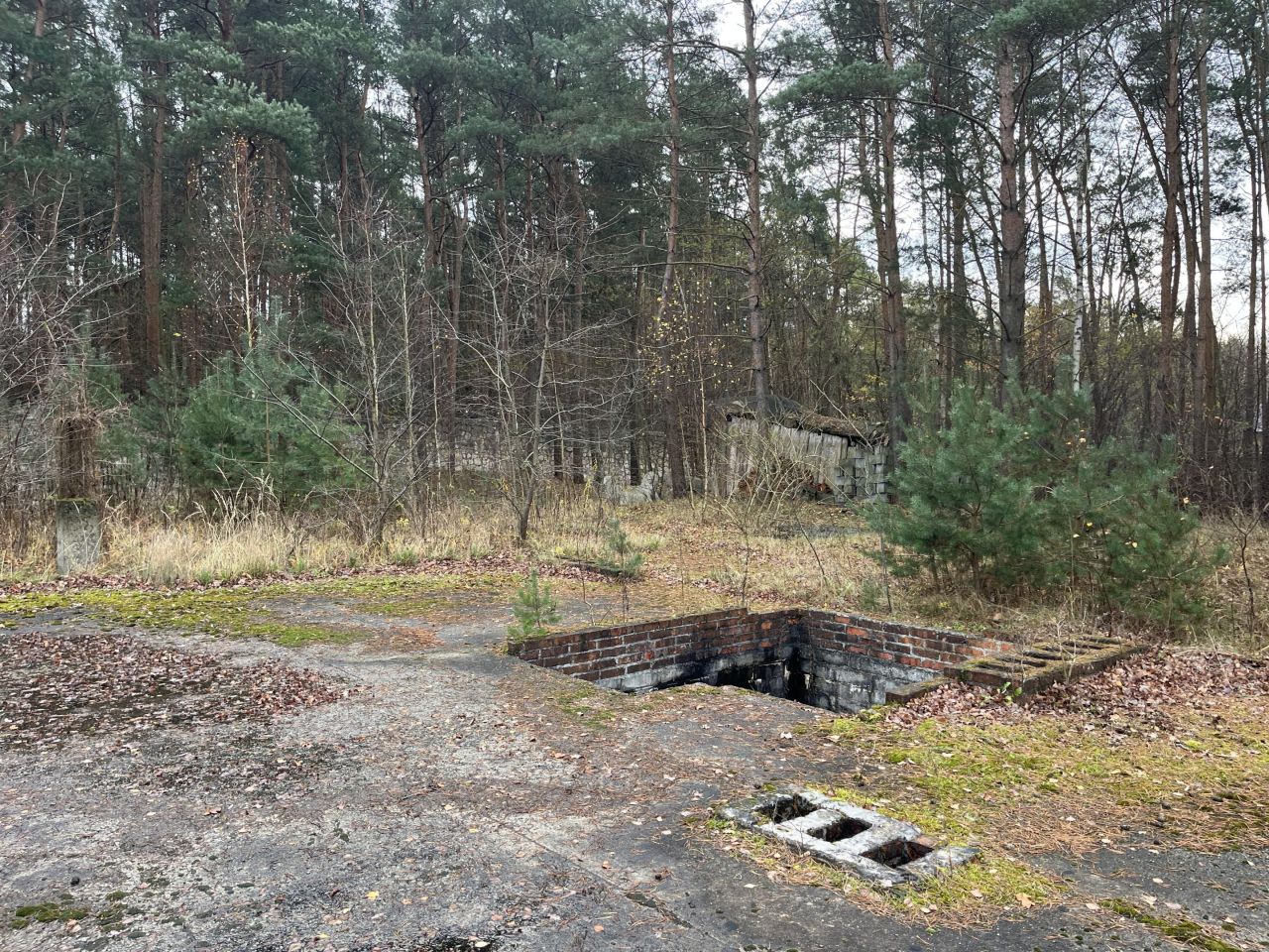 Działka rekreacyjna Osjaków, ul. Wesołe Kąty. Zdjęcie 6