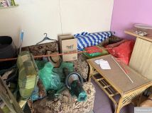 Działka rod Gorzów Wielkopolski Zawarcie, ul. Polna. Zdjęcie 2