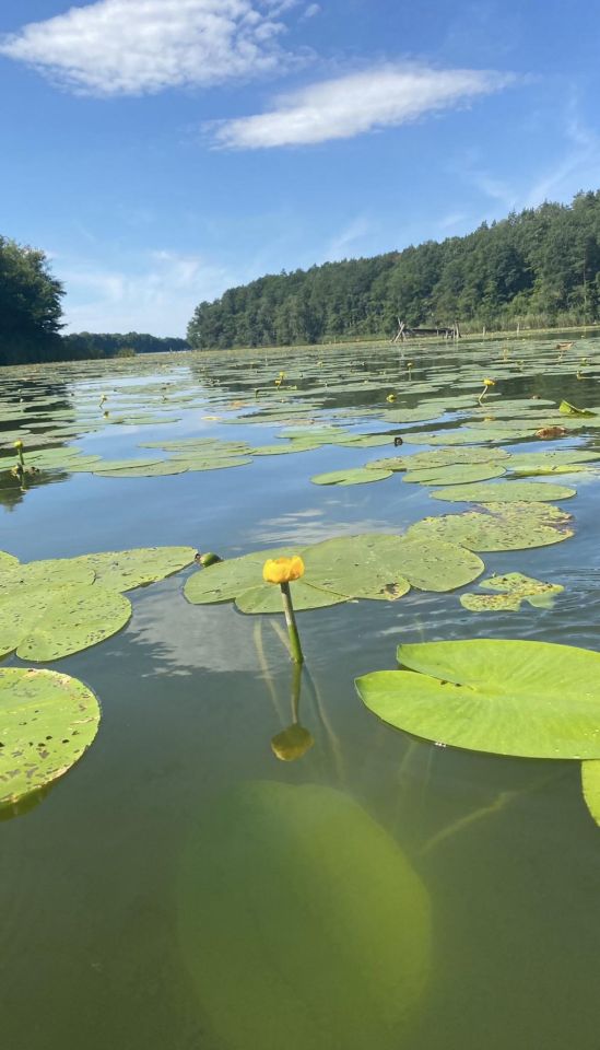 Działka budowlana Nienawiszcz, ul. Końcowa. Zdjęcie 10