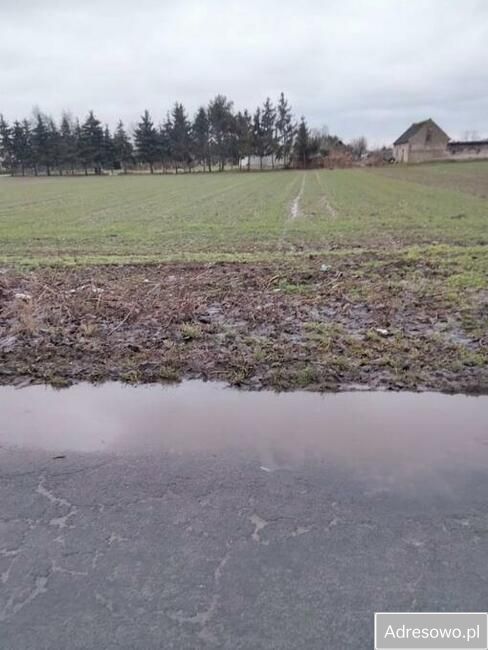 Działka rolno-budowlana Warnice. Zdjęcie 2