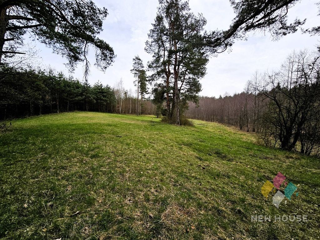 Działka rolna Prawdowo. Zdjęcie 9