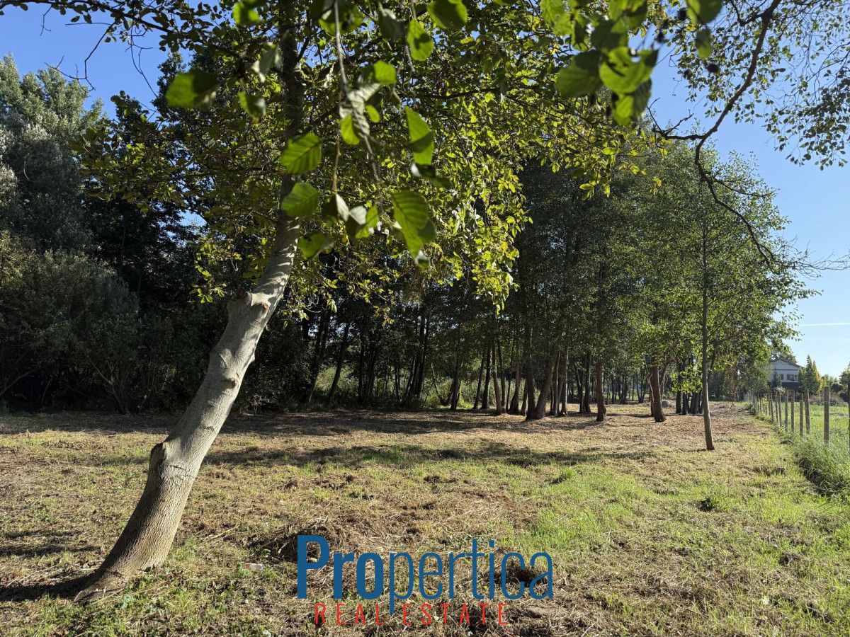 Działka budowlana Nowa Wieś, ul. Wandy. Zdjęcie 9