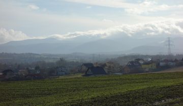 Działka siedliskowa Skoczów, winogradzka