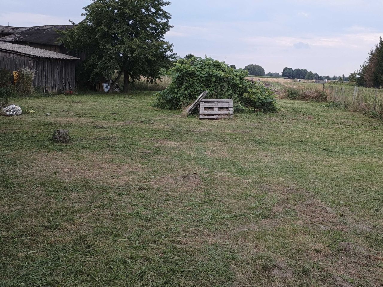 dom wolnostojący Miedniewice. Zdjęcie 3