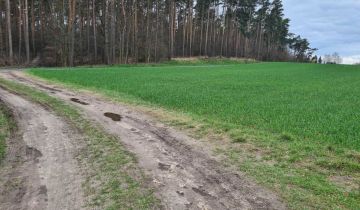 Działka budowlana Rybojedzko, ul. Leśna